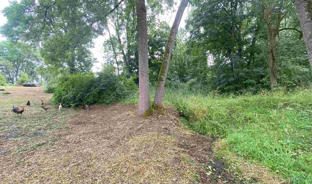 Prodej pozemku 1 993 m², Březová – náhled fotky 2
