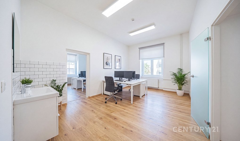 Prodej komerčního objektu (jiného typu) 120 m², Horní Bříza – náhled fotky 4