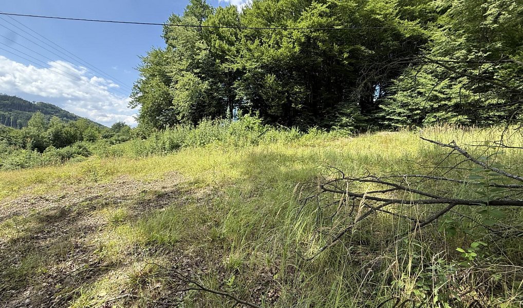 Prodej stavebního pozemku 2 186 m², Vsetín – náhled fotky 6