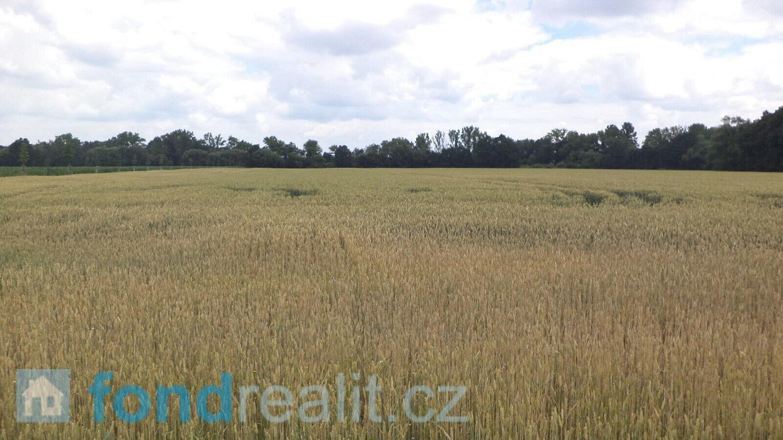 Prodej pozemku 6 038 m²