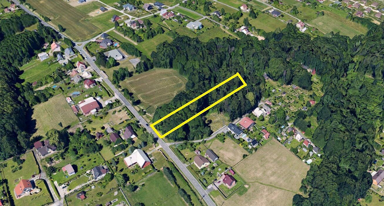 Prodej lesa 2 143 m²