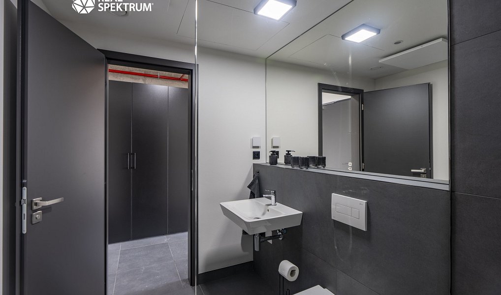 Pronájem bytu 1+kk 35 m², Brno – náhled fotky 12