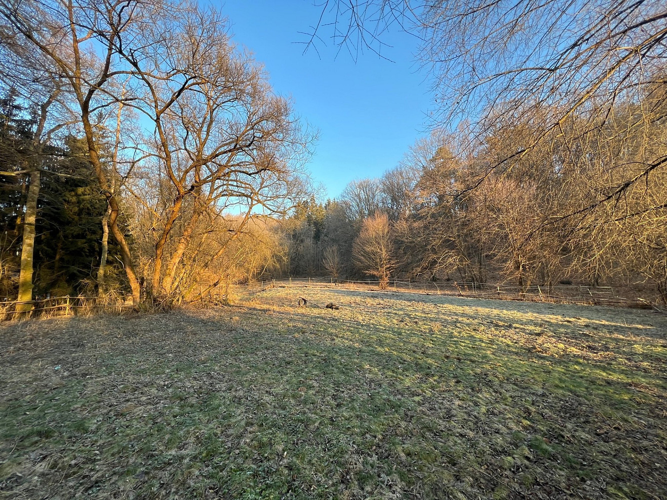 Prodej louky 3 723 m² – fotografie 3