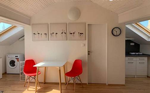 Pronájem bytu 1+kk 20 m², Školní, Jindřichův Hradec - Jindřichův Hradec I