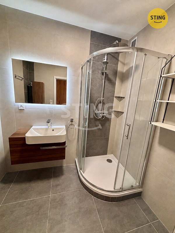 Pronájem bytu 2+1 52 m² – pohled 5