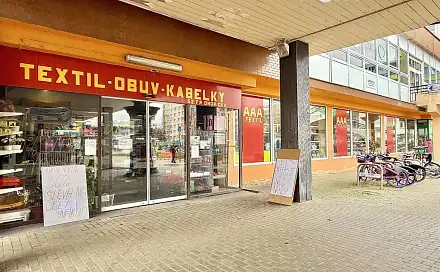 Pronájem obchodních prostor 546 m², Fr. Ondříčka, České Budějovice - České Budějovice 2