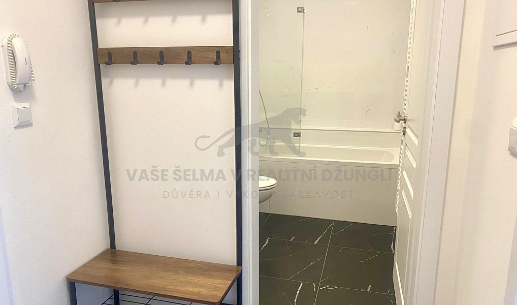 Pronájem bytu 1+kk 32 m², Jáchymov – náhled fotky 3