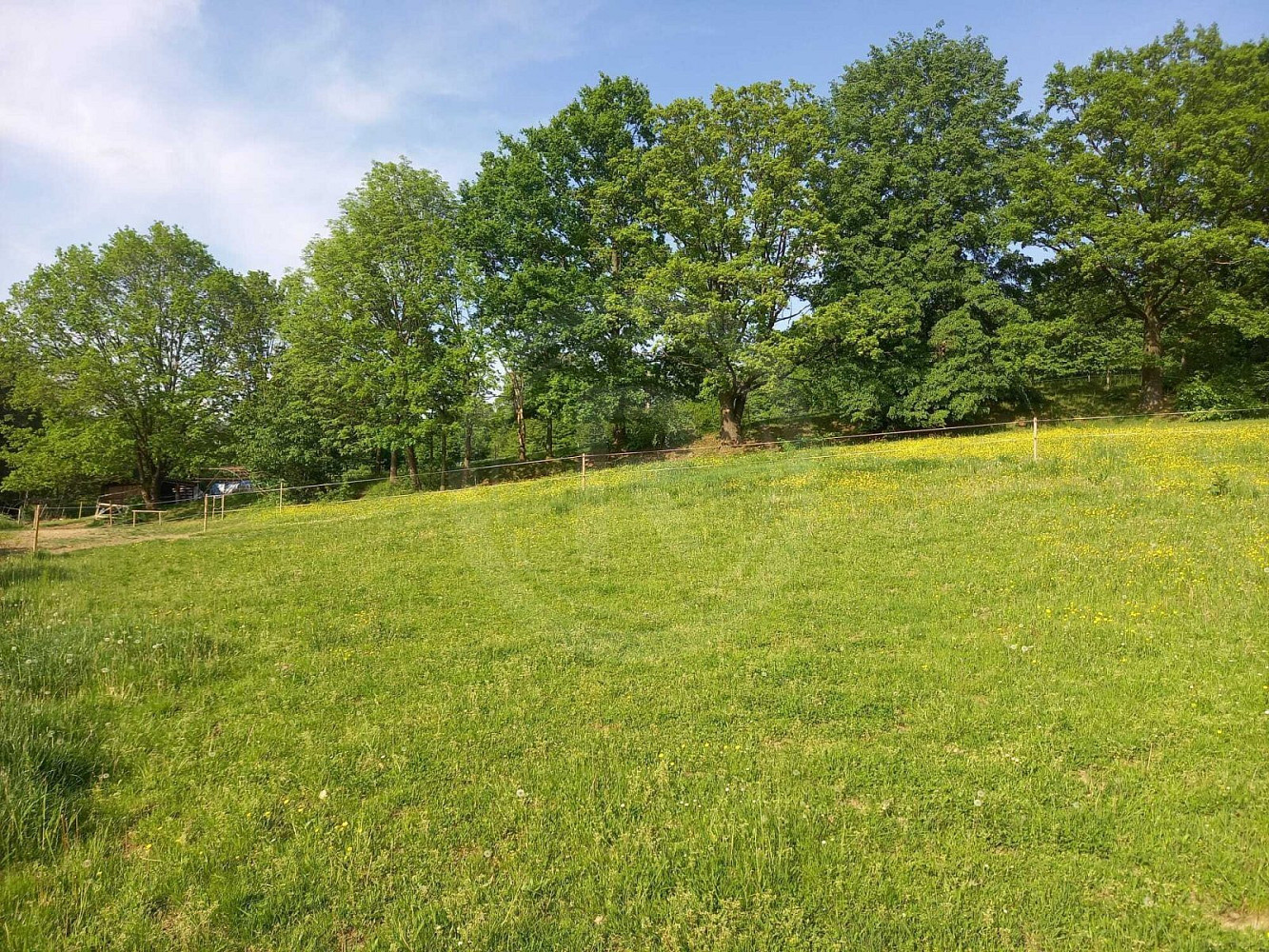 Fotka 12 z 12
