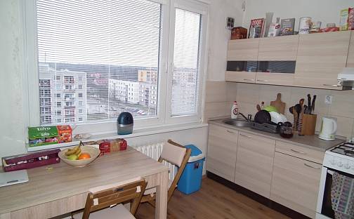 Pronájem bytu 2+1 63 m², Milady Horákové, Hradec Králové - Nový Hradec Králové