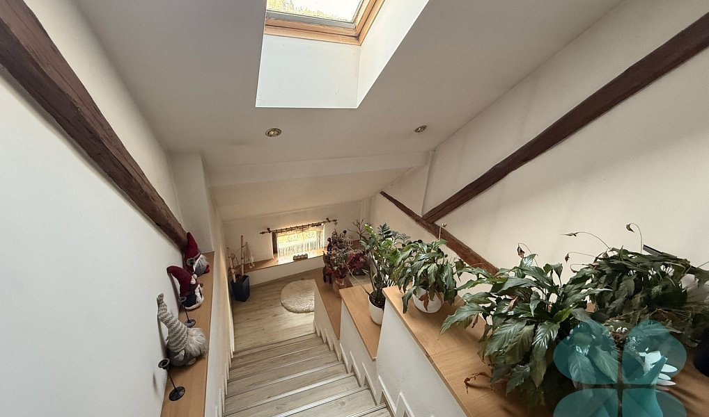 Prodej domu 220 m² s pozemkem 449 m², Radnice – náhled fotky 15