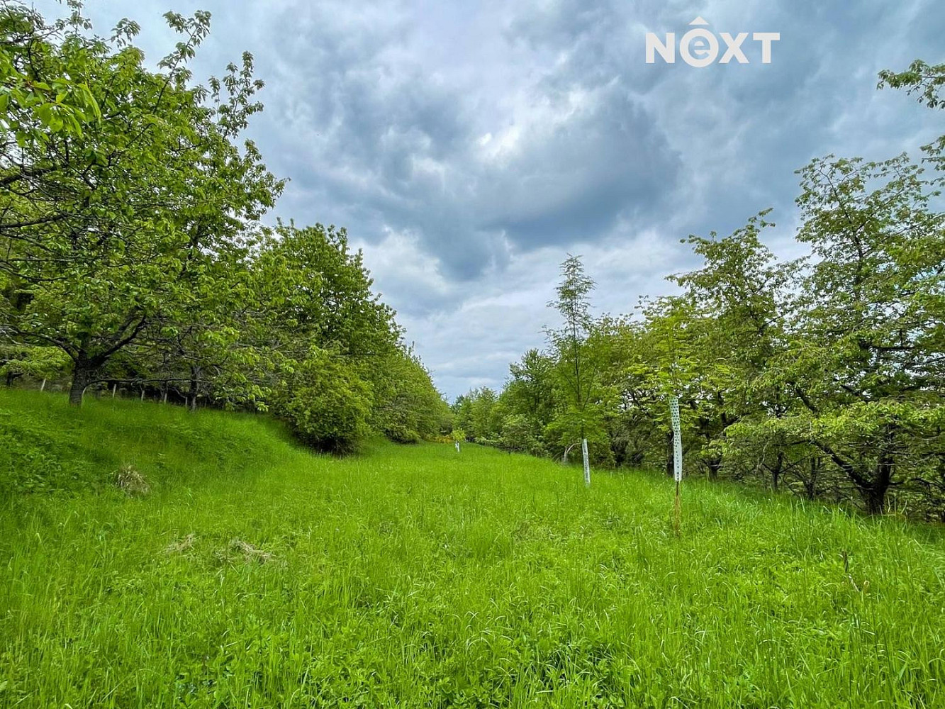 Prodej pozemku 3 223 m² — photo 4