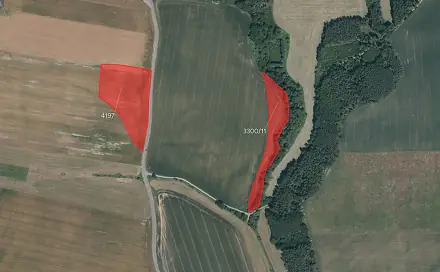 Prodej pole 32 562 m², Černošín, okres Tachov