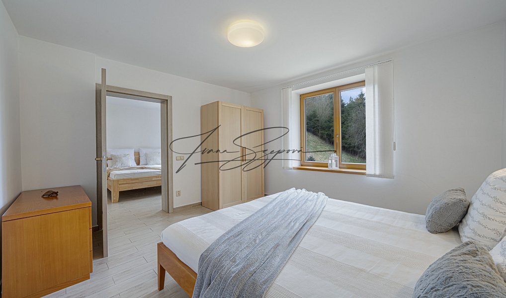 Prodej ubytovacího objektu 594 m², Olešná – náhled fotky 18