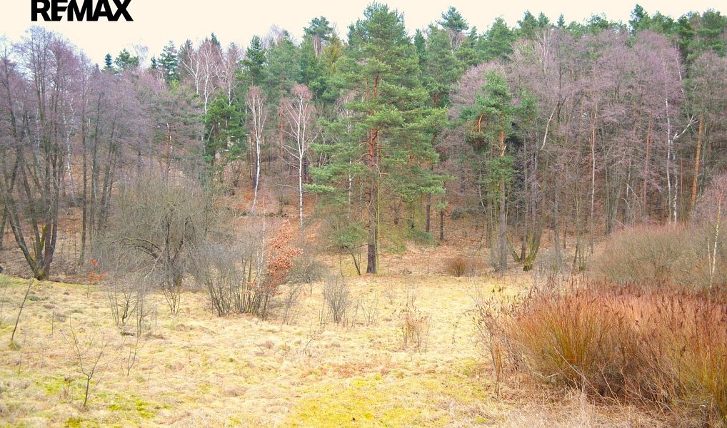 Prodej stavebního pozemku 645 m², Arnoltice – náhled fotky 2