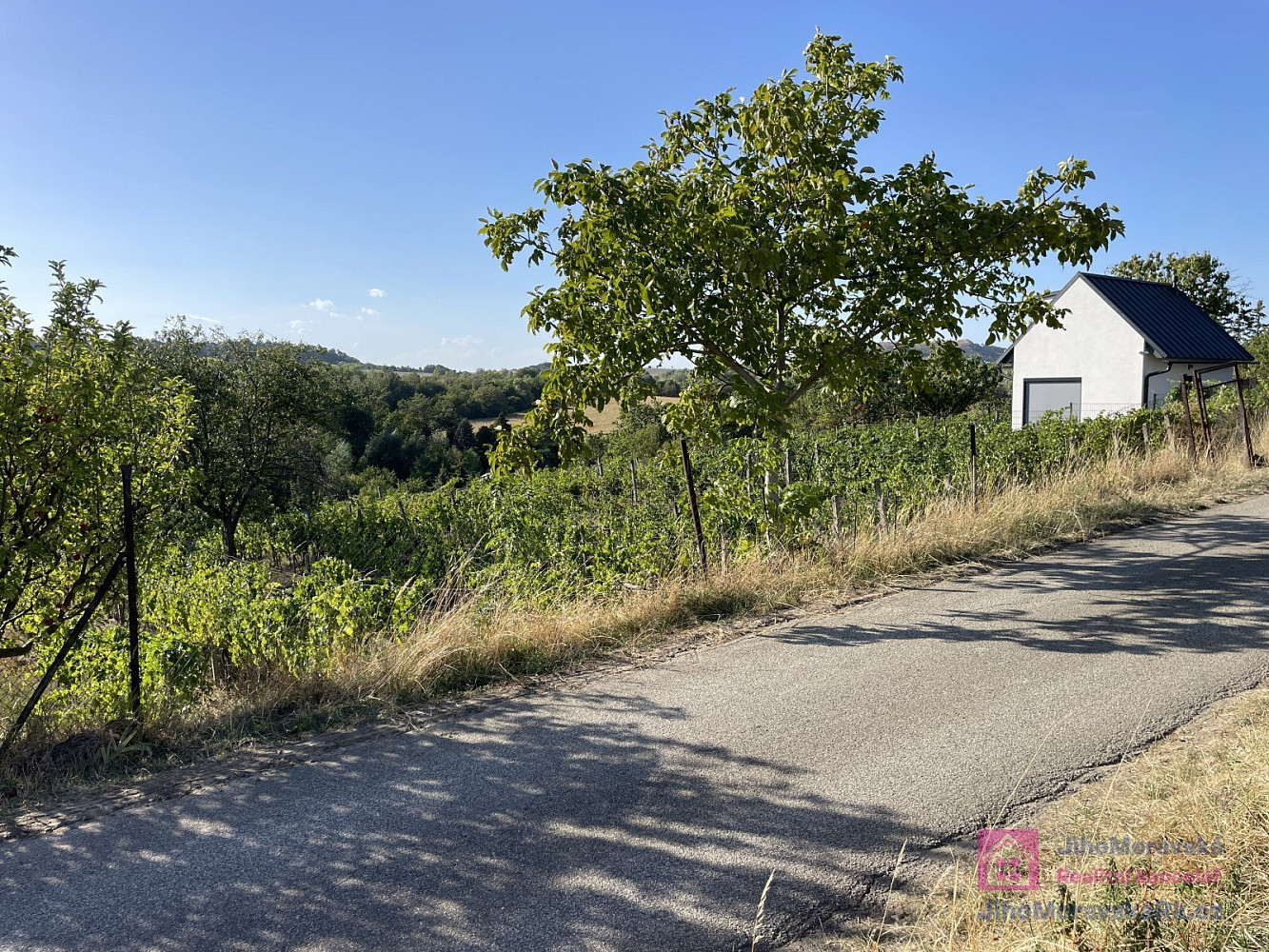 Prodej zahrady 1 256 m² – fotografie 2