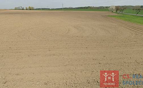 Prodej pole 38 124 m², Štítary, okres Znojmo