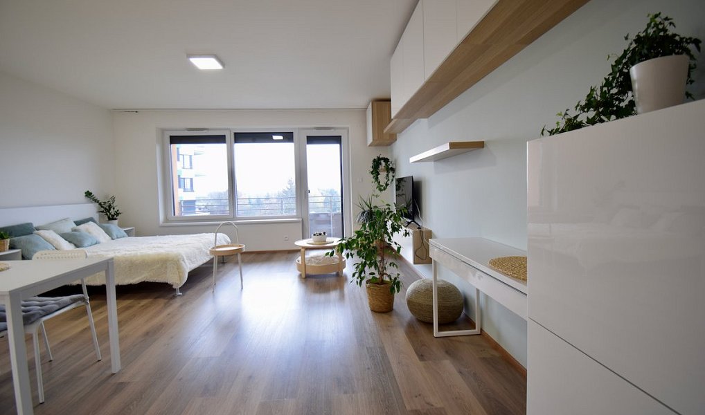 Pronájem bytu 1+kk 41 m², Olomouc – náhled fotky 18