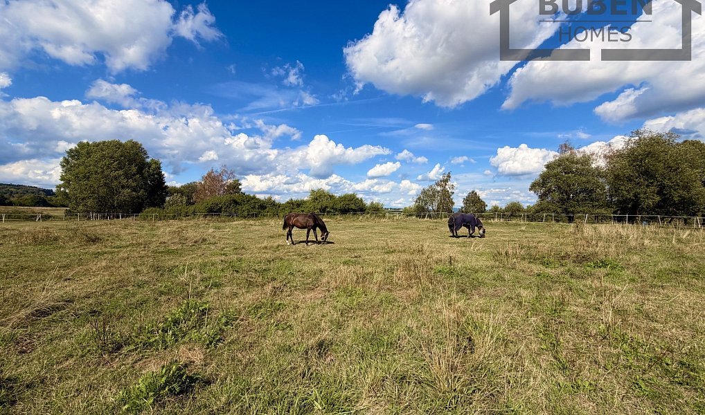 Prodej stavebního pozemku 82 911 m², Ctiboř – náhled fotky 5