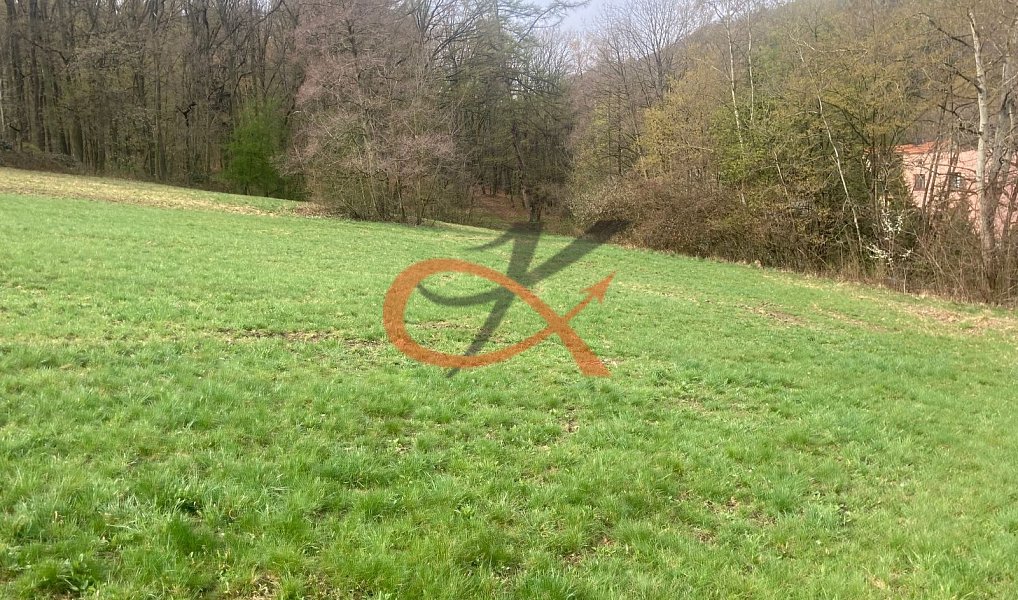 Prodej stavebního pozemku 9 208 m², Háj ve Slezsku – náhled fotky 13