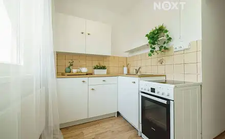 Pronájem bytu 1+1 40 m²