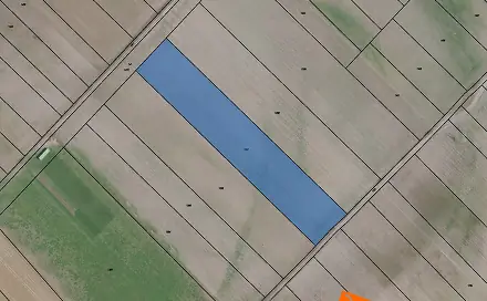 Prodej pole 972 m², Dřísy, okres Praha-východ
