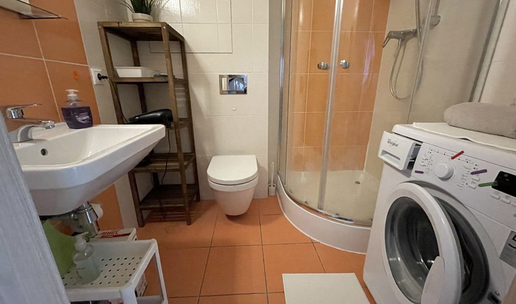 Prodej bytu 1+kk 33 m², Praha – náhled fotky 39