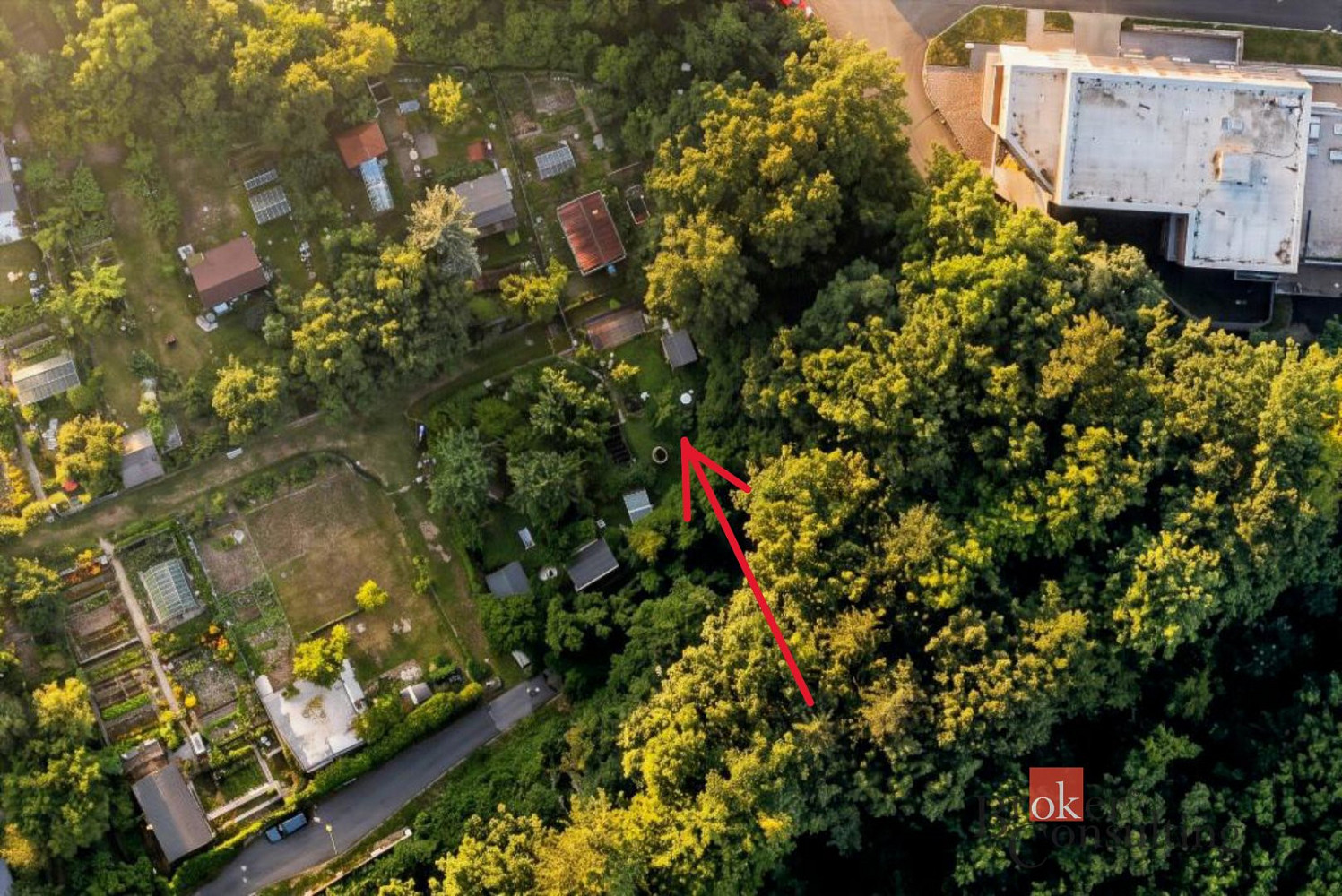 Prodej zahrady 300 m²