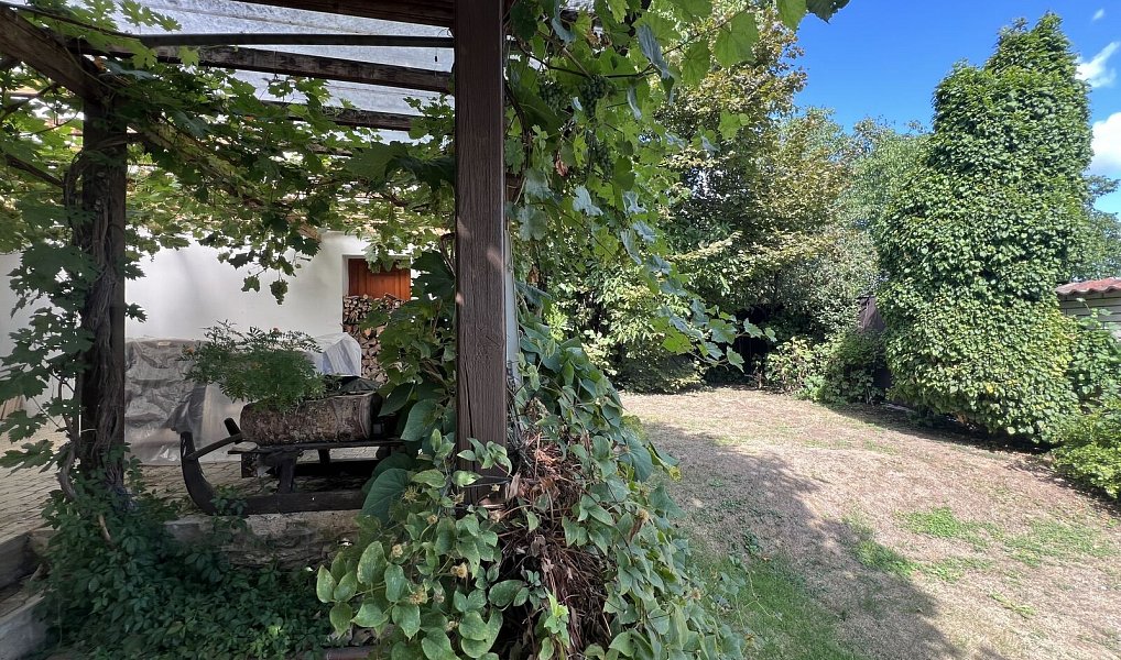 Prodej domu 85 m² s pozemkem 325 m², Hluboké Mašůvky – náhled fotky 19