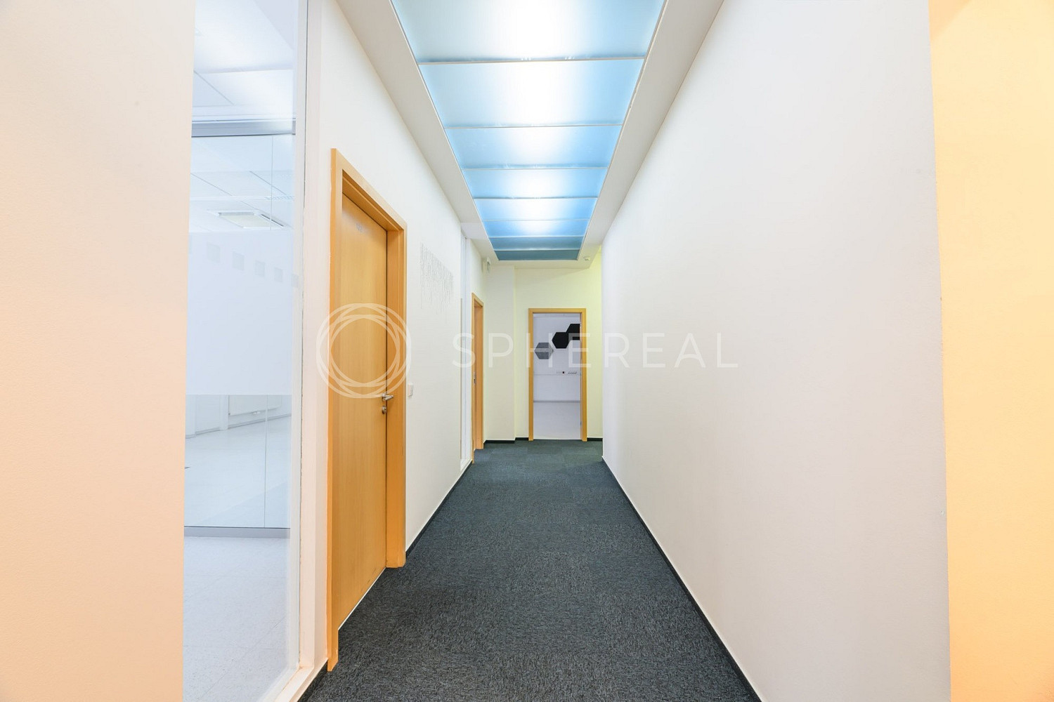 Fotka 8 z 19