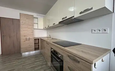 Pronájem bytu 1+1 41 m², Dobrovodská, České Budějovice - České Budějovice 4