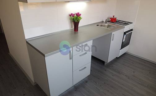 Pronájem bytu 2+1 55 m², Holasova, Ostrava - Hrabůvka