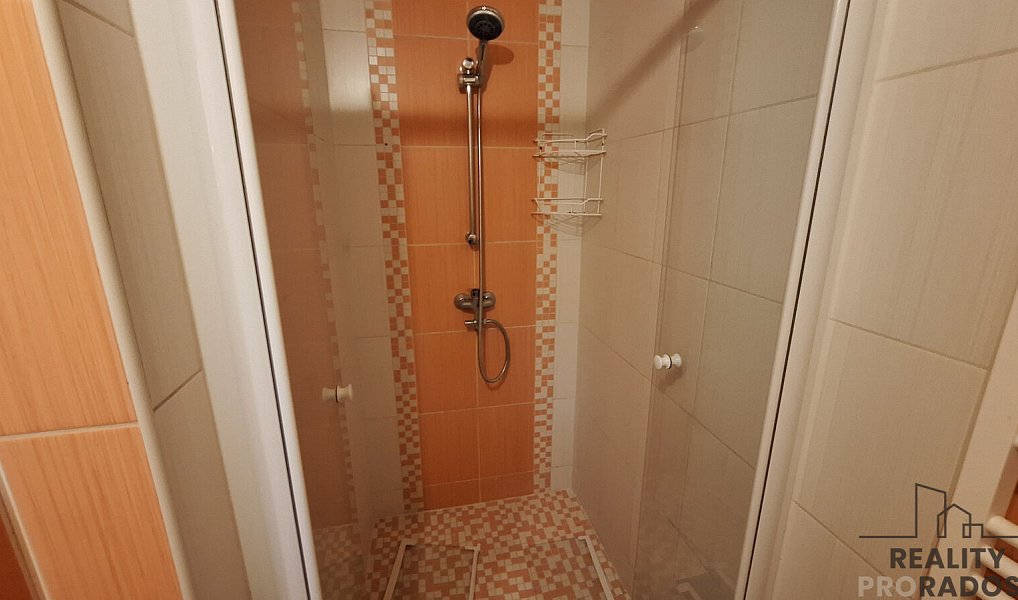 Pronájem bytu 2+1 49 m², Ústí nad Labem – náhled fotky 8