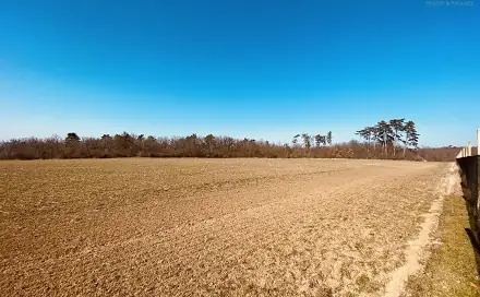 Prodej zahrady 7 000 m², Dobšice, okres Znojmo
