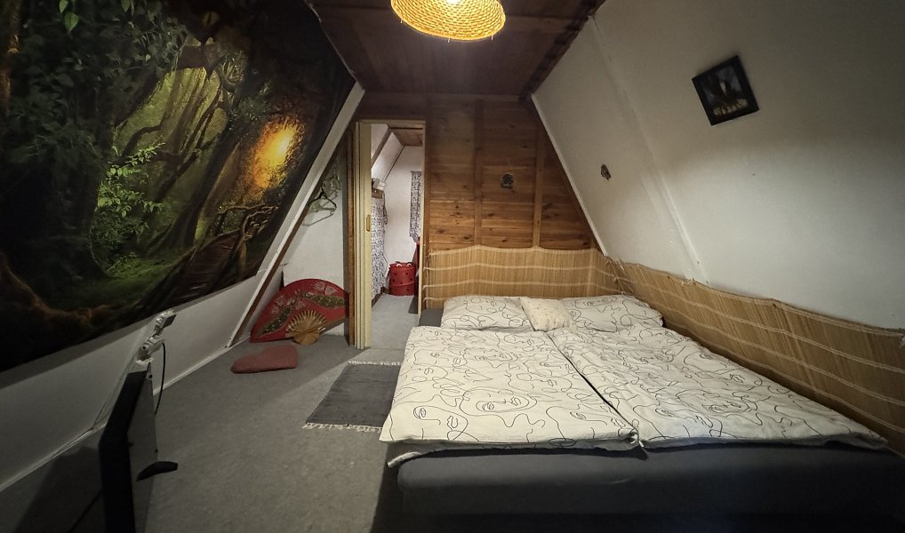 Prodej chaty/chalupy 45 m² s pozemkem 522 m², Nová Ves – náhled fotky 14