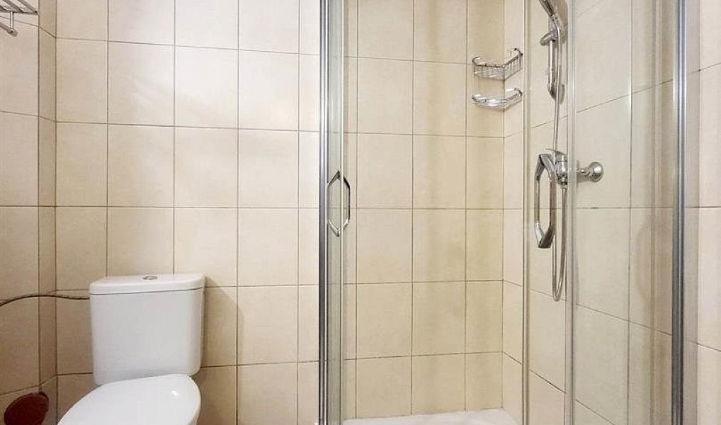 Pronájem bytu 2+1 43 m², České Budějovice – náhled fotky 9