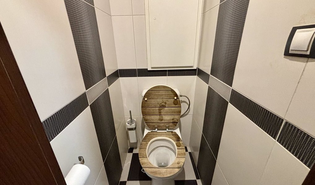 Pronájem bytu 2+kk 37 m², České Budějovice – náhled fotky 9