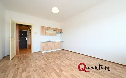 Pronájem bytu 1+kk 32 m², Fričova, Praha 2 - Vinohrady