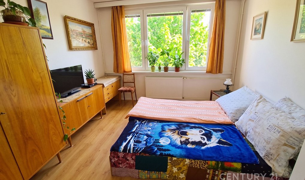 Prodej bytu 3+1 64 m², Malonty – náhled fotky 9