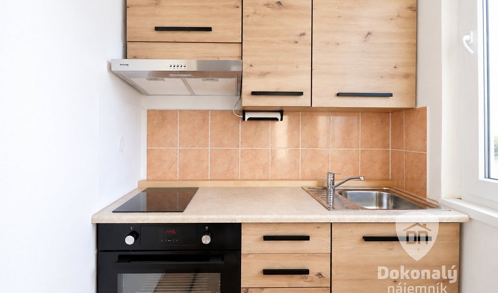 Pronájem bytu 1+1 30 m², Praha – náhled fotky 7