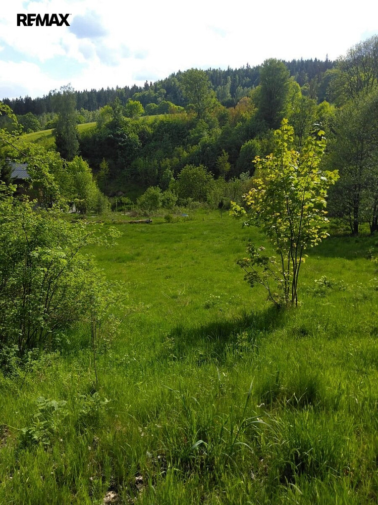Fotka 5 z 10