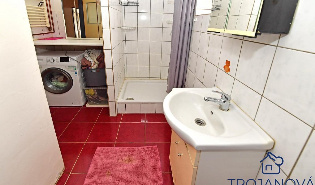 Prodej domu 306 m² s pozemkem 150 m², Petroupim – náhled fotky 20