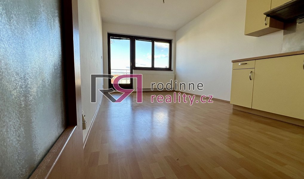 Pronájem bytu 1+kk 24 m², Praha – náhled fotky 5