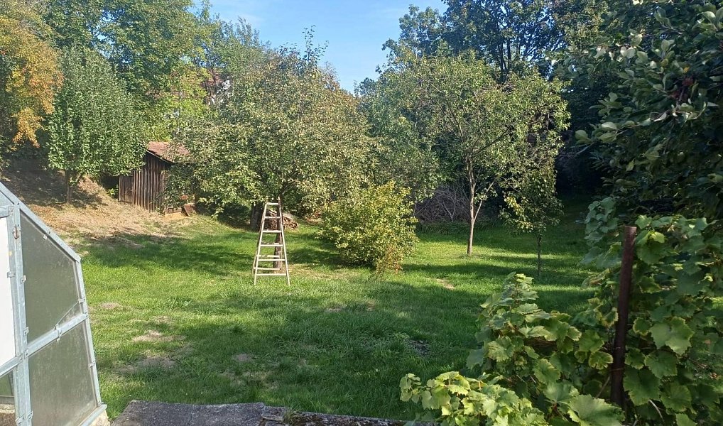 Prodej domu 60 m² s pozemkem 1 201 m², Pracejovice – náhled fotky 2