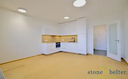 Pronájem bytu 1+kk 36 m²