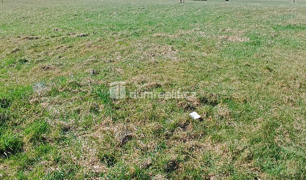 Prodej stavebního pozemku 1 246 m², Heřmanov – náhled fotky 8
