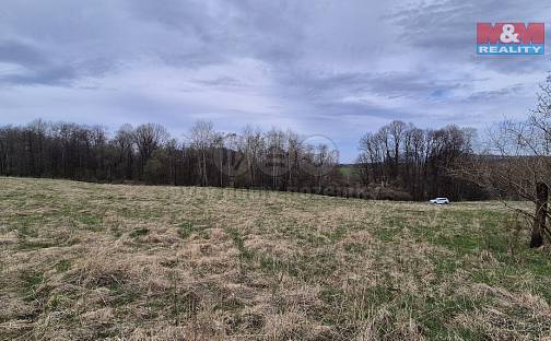 Prodej louky 22 628 m², Česká Kamenice - Dolní Kamenice, okres Děčín