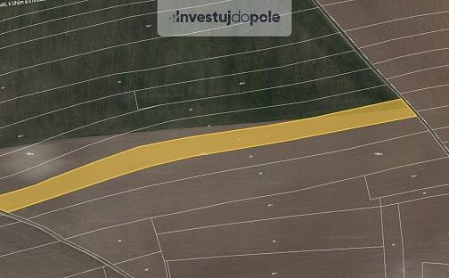 Prodej pole 10 132 m², Velvary - Velká Bučina, okres Kladno