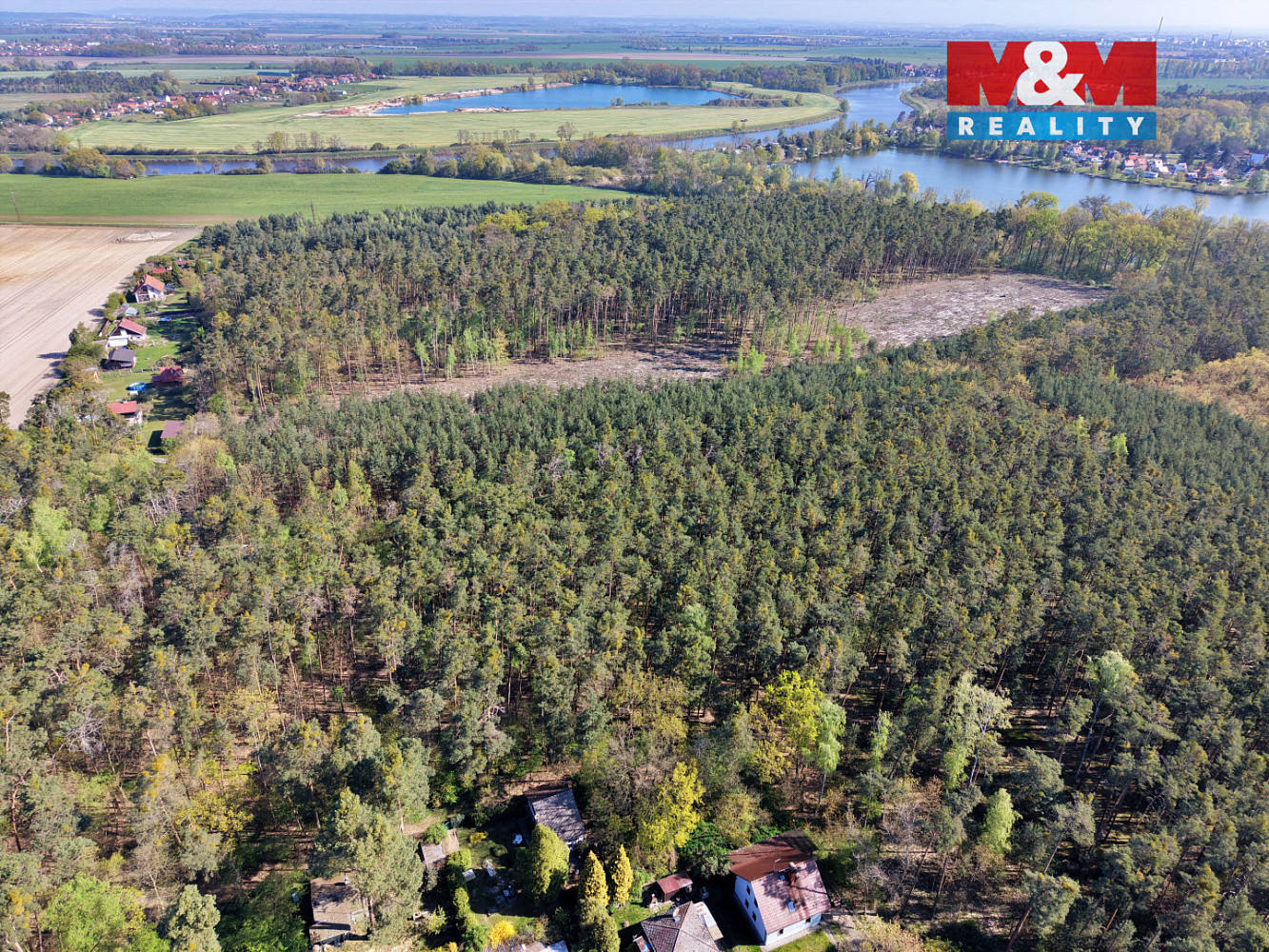 Prodej lesa 4 769 m² – fotografie 2
