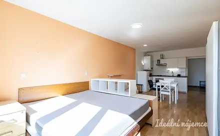 Pronájem bytu 1+kk 40 m², Vrábská, Brandýs nad Labem-Stará Boleslav - Brandýs nad Labem, okres Praha-východ
