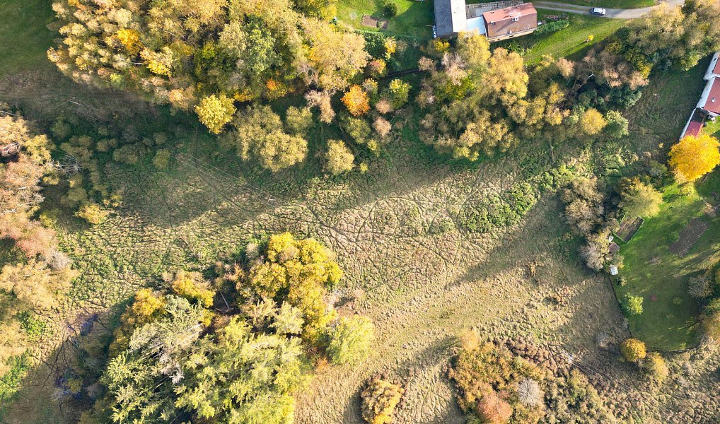 Prodej pozemku 15 970 m², Planá – náhled fotky 6